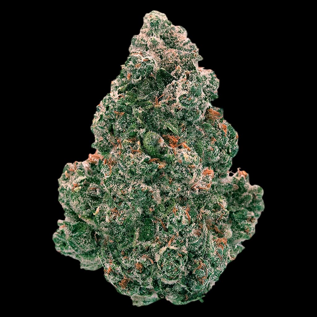 Back Forty Liquid Imagination cannabis dried flower bud with dense green and rust-colored trichomes