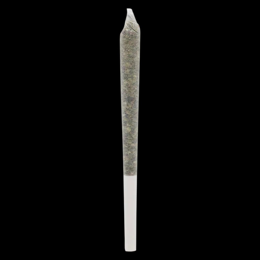 AK 47