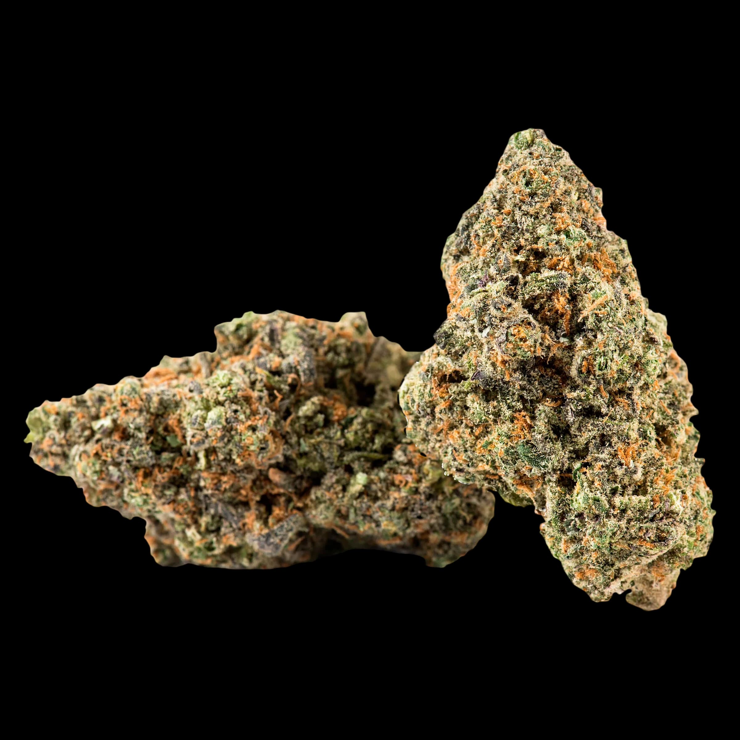 Boutons de fleurs séchées de cannabis Rainbow Muffin de Dank Diner aux teintes vertes et orangées