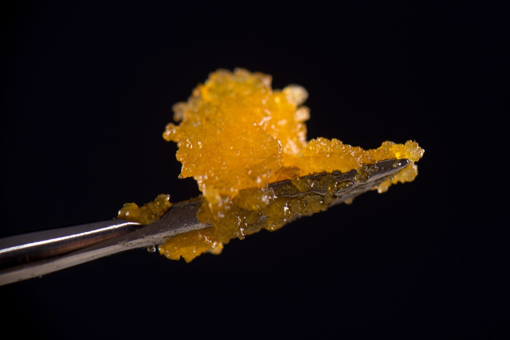 Cannabis concentrates 101