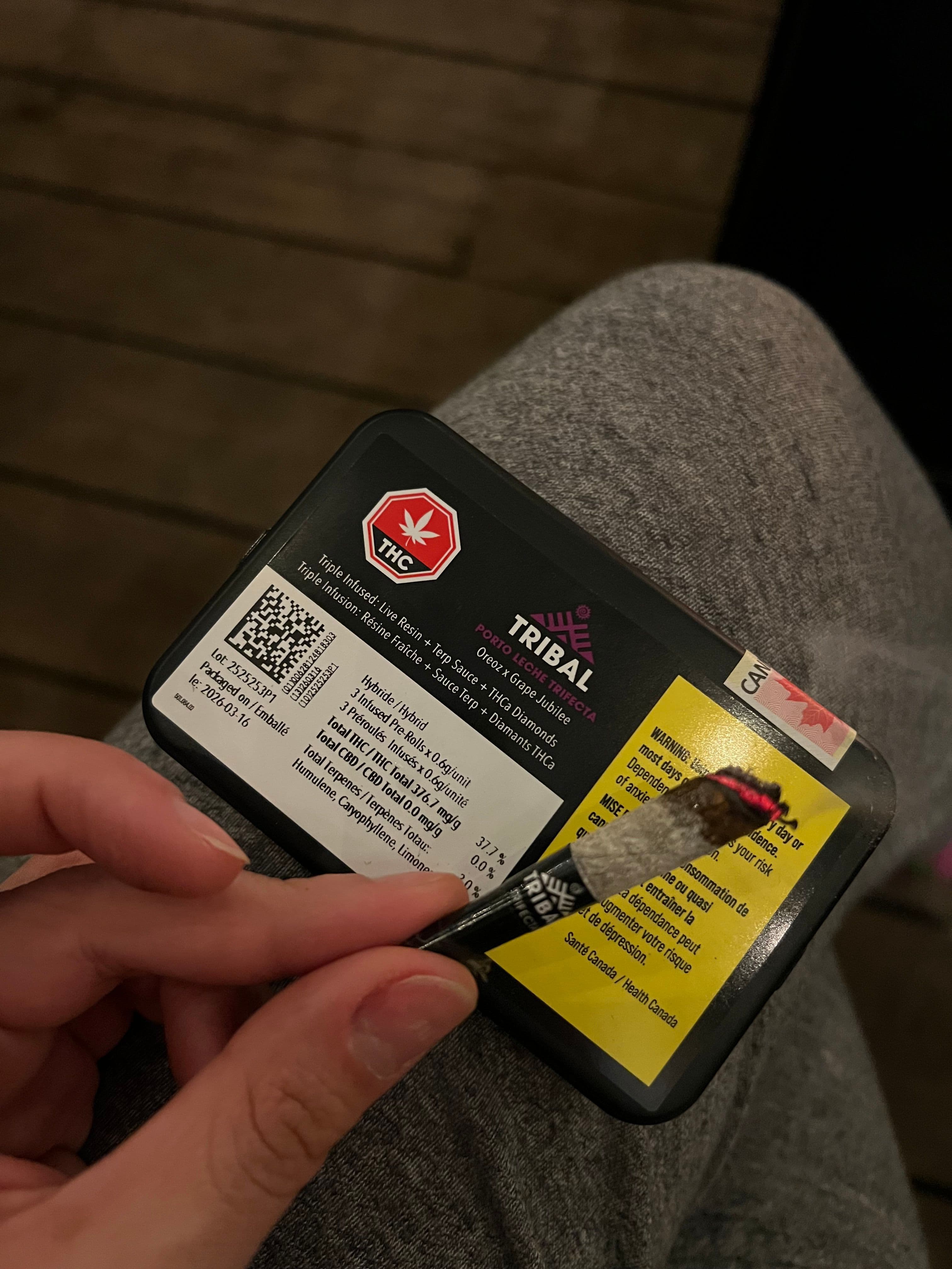 Tribal | Porto Leche Trifecta Infused Pre-Roll | 3x0.6g