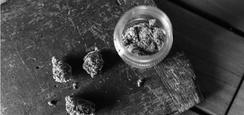 Fleur de cannabis premium