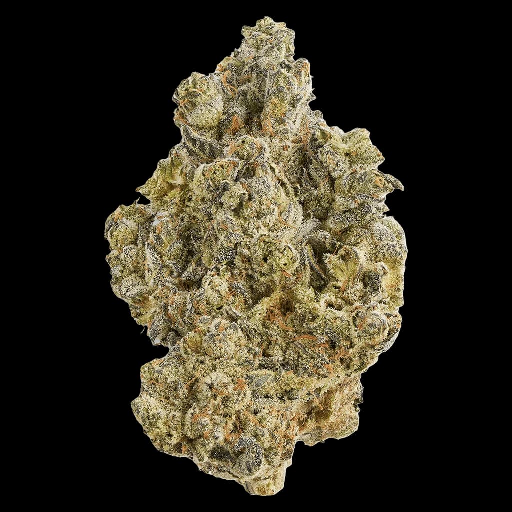 La Bomba