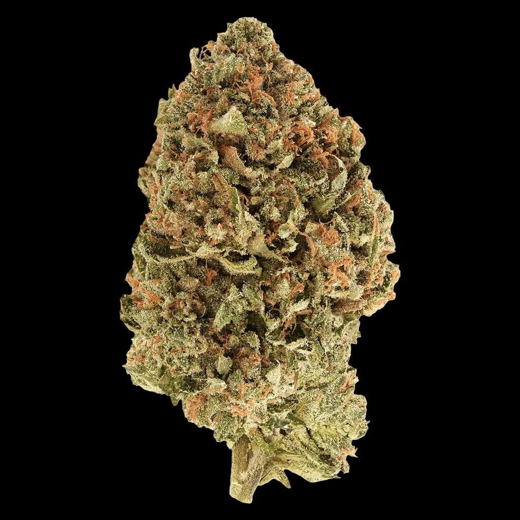BC Organic Tea Time #7