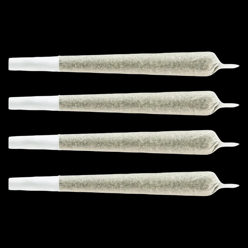 Snack Pack - Sativa