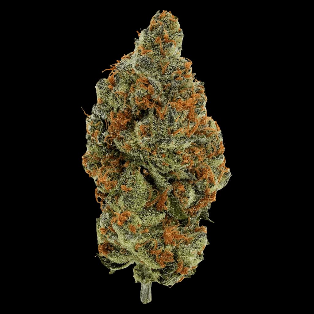BC Organic Mandarin Zktz