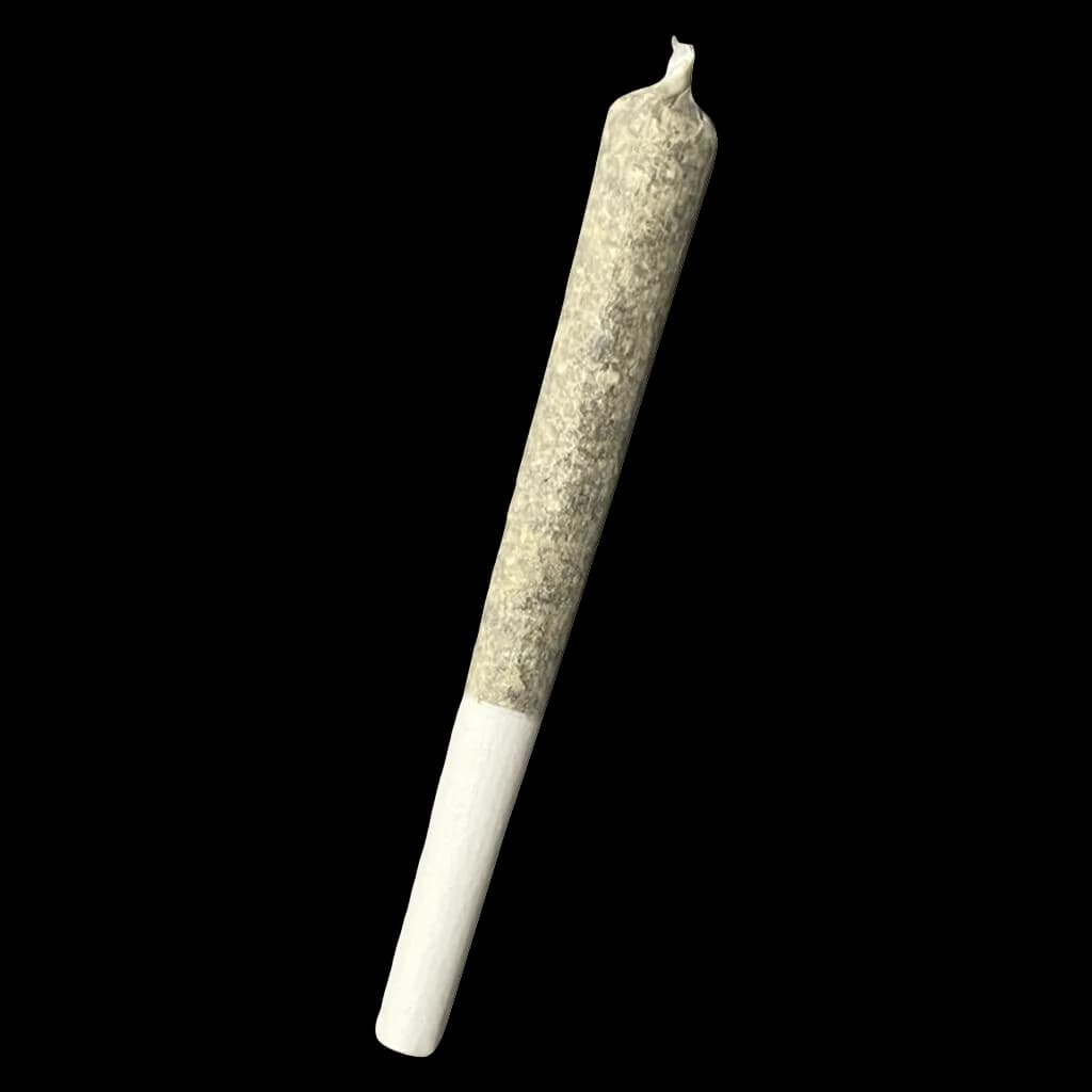 Truro Bluenose Berry hash infused pre-roll with light paper and twisted tip