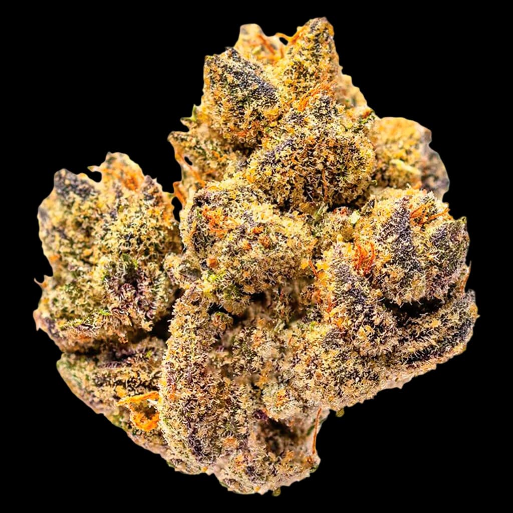 Rocky Mountain High