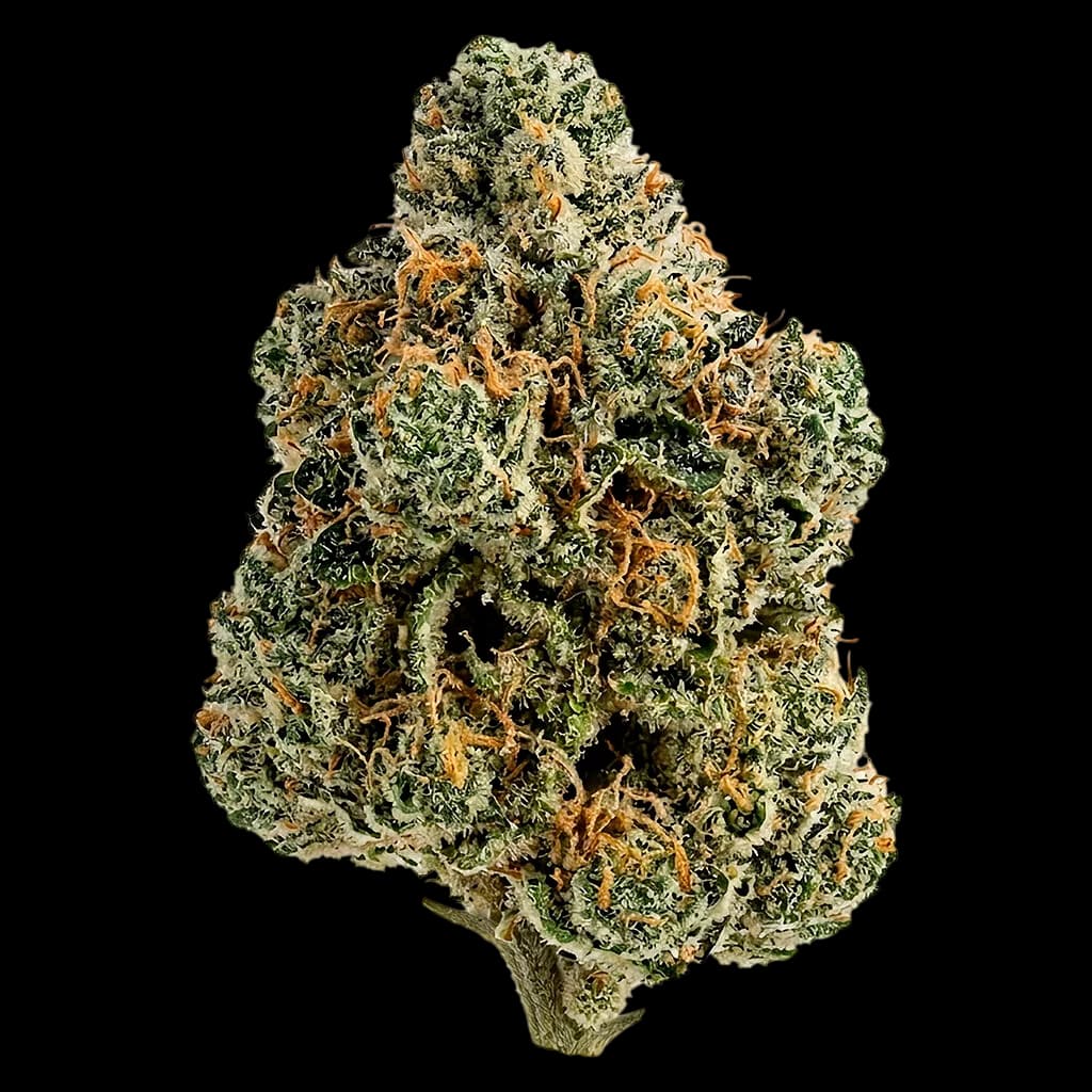 Breeders Stash