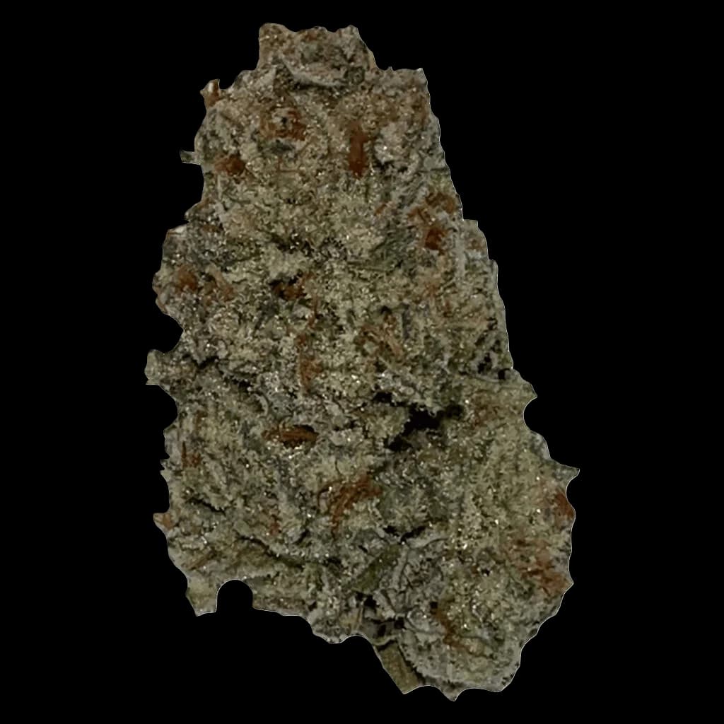 Wifi OG