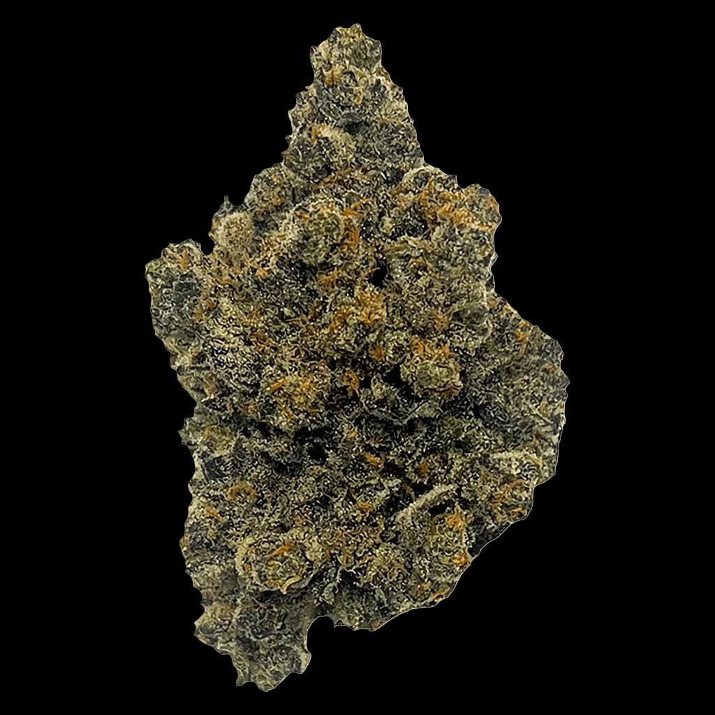 Mango Fuel