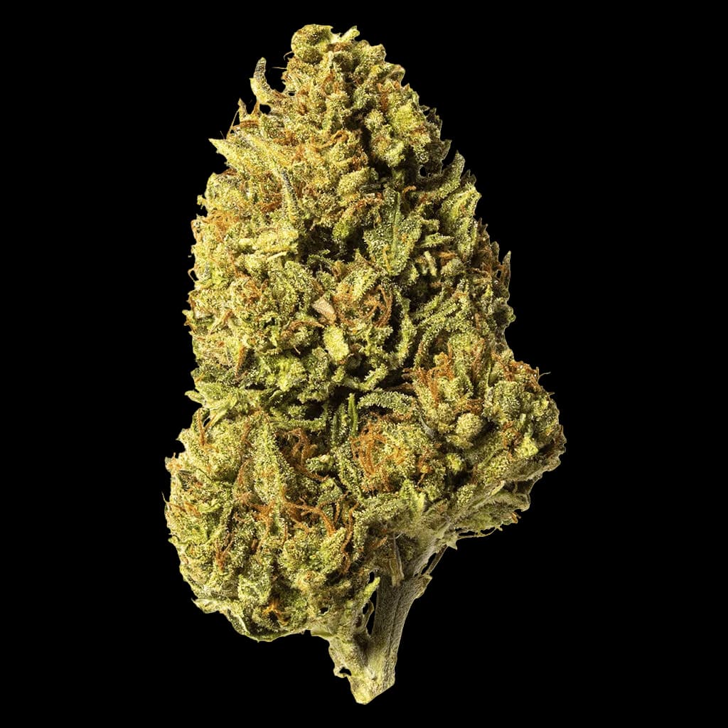 Bleuh Light CBD dried flower bud with dense trichomes and olive-green coloring