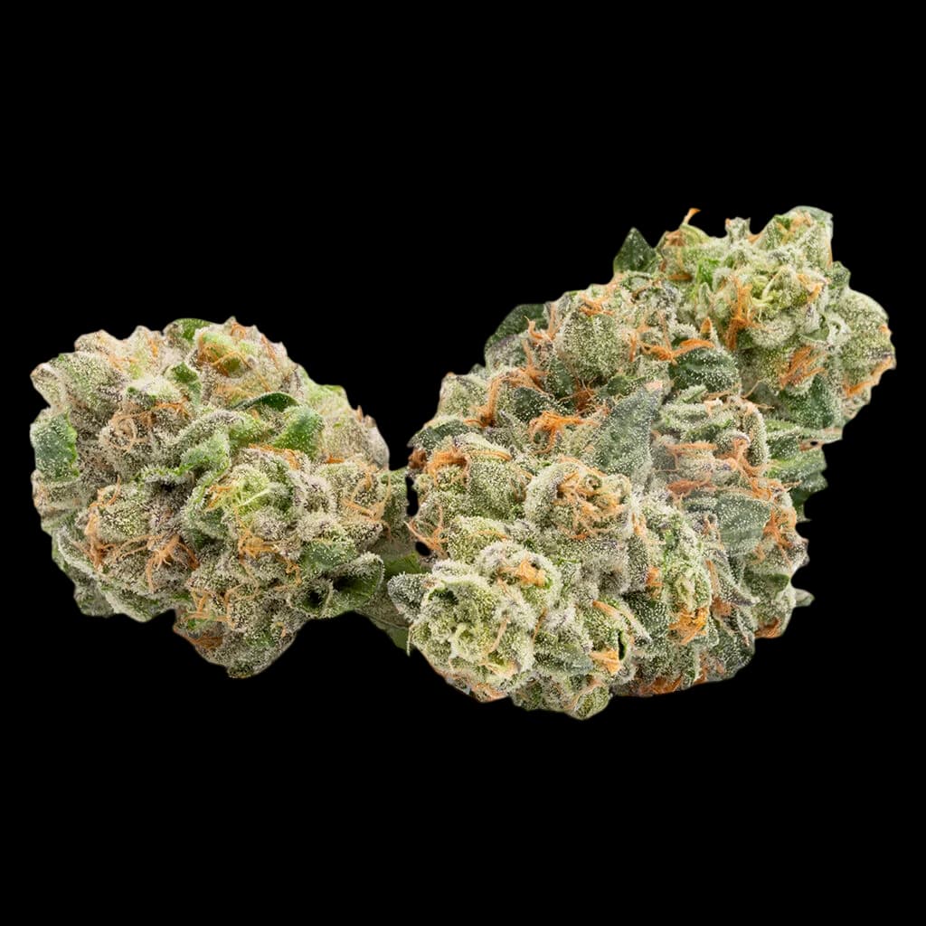 AK 47