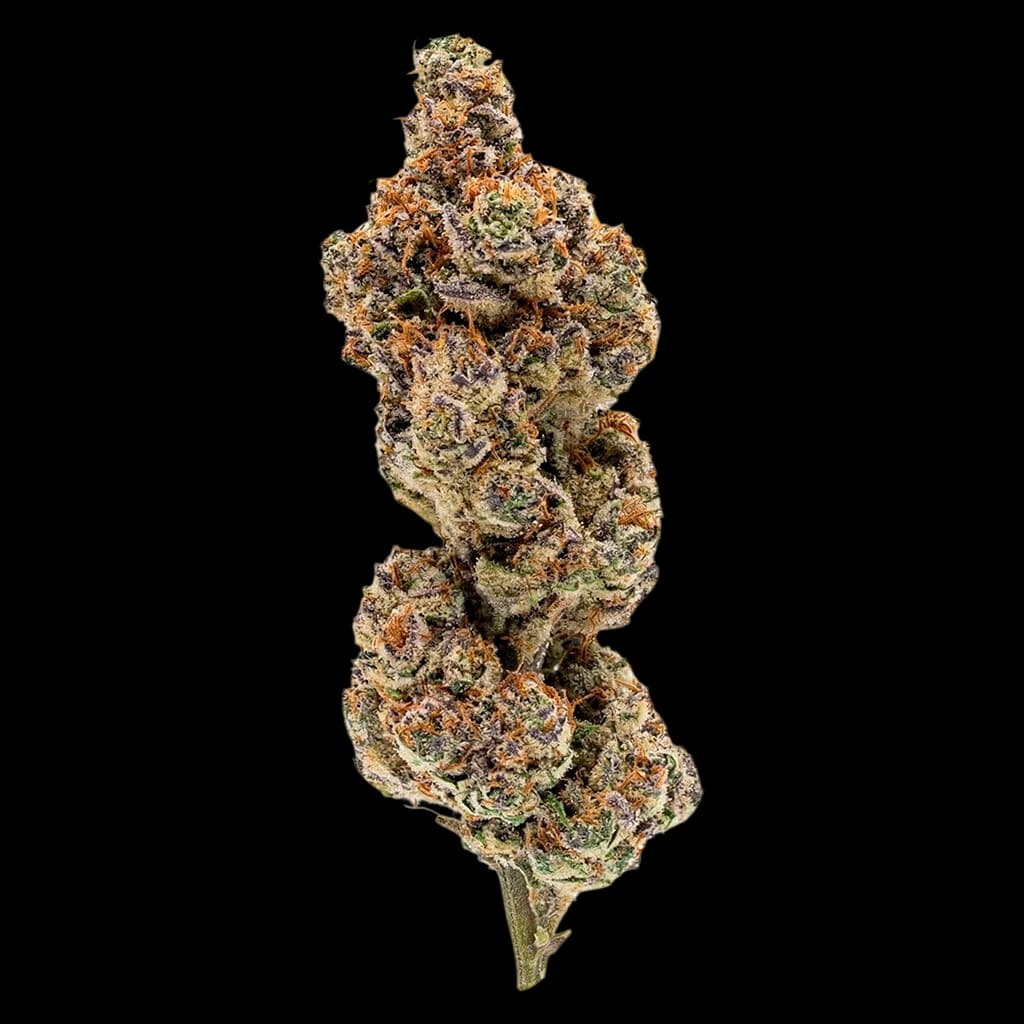 Payday Pack