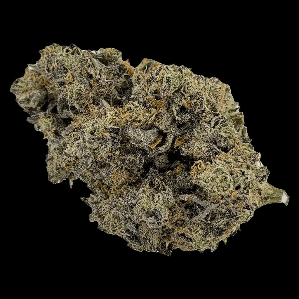 Plan't of the Ganja