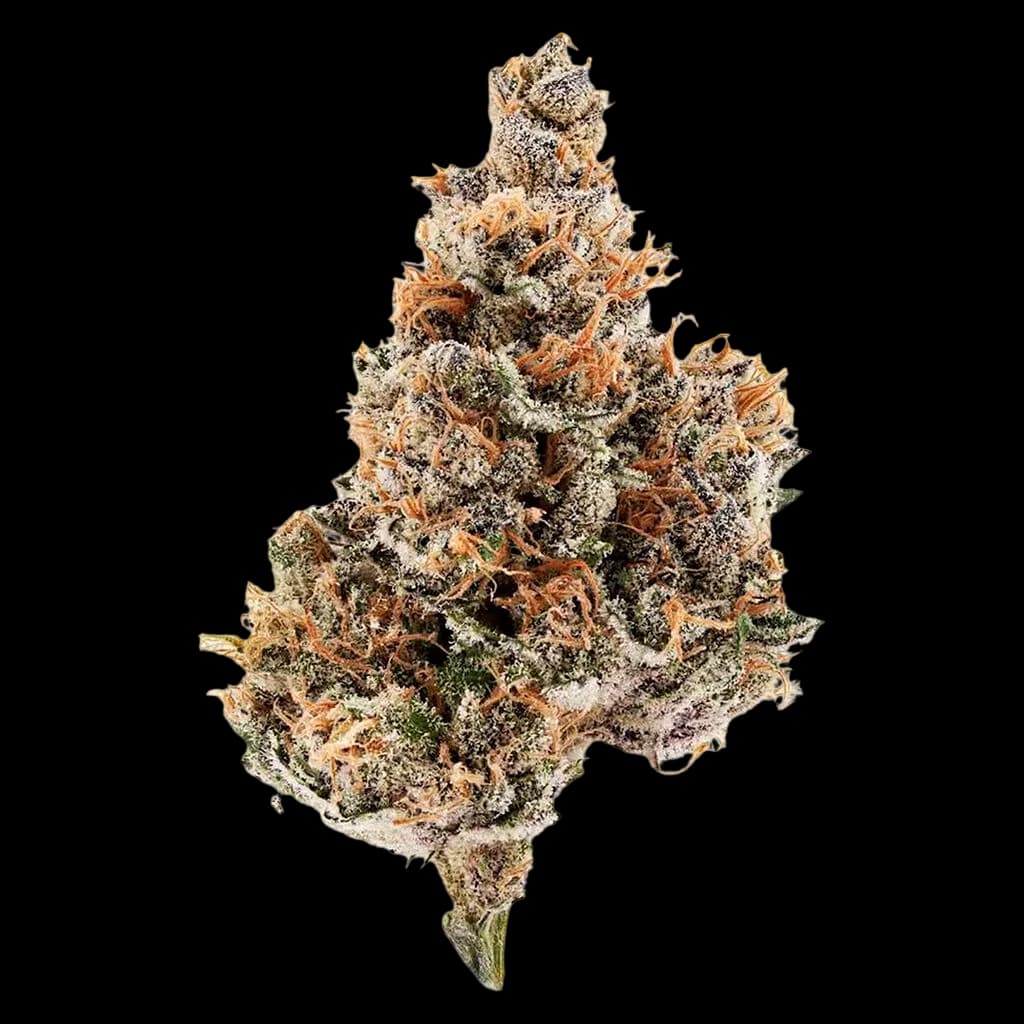 Raspberry Runtz