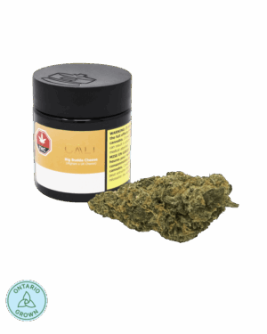 CALI | Big Budda Cheese | 3.5g