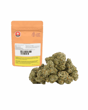 Castle Rock Farms | Glazed Apricot Gelato | 28g