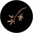 Age Gate Logo
